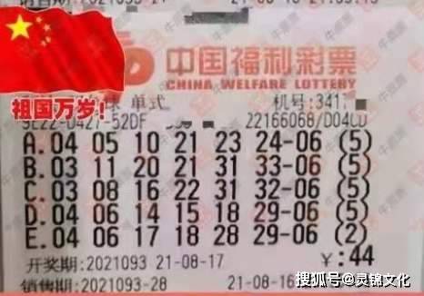 管家婆一票一码100%中奖香港-精选解释解析落实