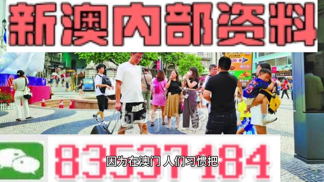 2024年新澳精准资料免费提供网站-精选解释解析落实